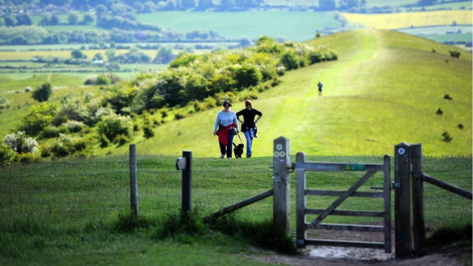 Visitors exploring the chalk downland at Ashridge Estate, Hertfordshire